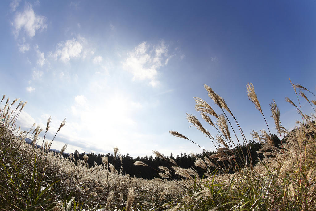 Photo Illustration Samyang 12mm F2.8 Fisheye Sony E